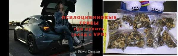 тгк Алексеевка