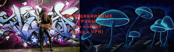 гидропоника Пестово