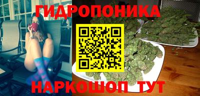 jwh Новокубанск