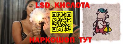 СК Дмитров