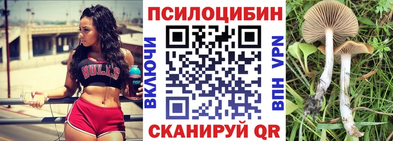 Галлюциногенные грибы Psilocybine cubensis  MEGA ТОР  Тайшет 