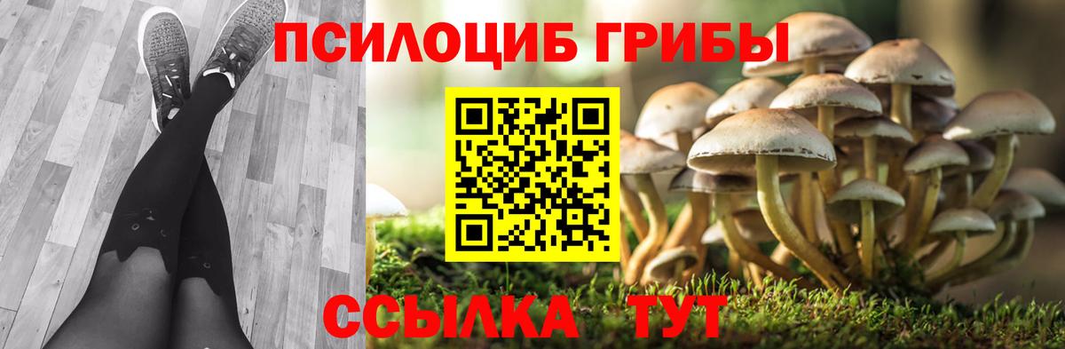 Тайшет  Псилоцибиновые грибы MAGIC MUSHROOMS  Вход с VPN  Галлюциногенные грибы GOLDEN TEACHER 