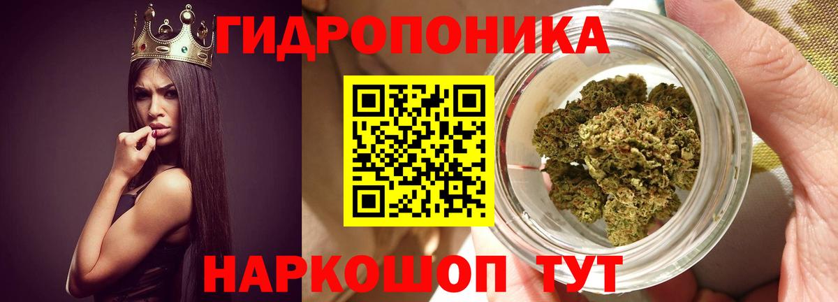 Бошки Шишки семена Тайшет
